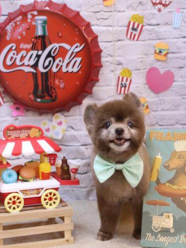 20230908クッキーくん